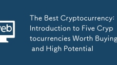 The Best Cryptocurrency: Introduction to Five Cryptocurrencies Worth Buying and High Potential