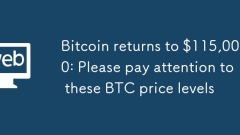 Bitcoin returns to $115,000: Please pay attention to these BTC price levels