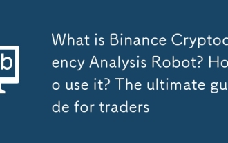 Binance cryptocurrency 분석 로봇이란 무엇입니까? 그것을 사용하는 방법? 거래자를위한 최고의 가이드