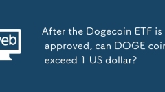 After the Dogecoin ETF is approved, can DOGE coins exceed 1 US dollar?