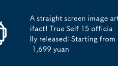 Un artefact d'image à écran droit! True Self 15 publié officiellement: à partir de 1 699 yuan
