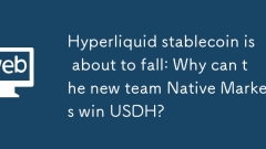 Hyperliquid stablecoin is about to fall: Why can the new team Native Markets win USDH?