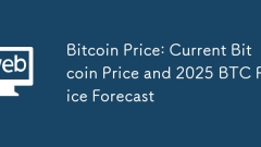 ?? ?? ?? : ?? ?? ?? ?? ? 2025 BTC ?? ??