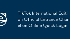 TikTok International Edition Official Entrance Channel TikTok International Edition Online Quick Login