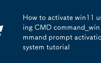 win11怎麼用CMD命令激活_win11命令提示符激活系統教程