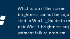 Apa yang Perlu Dilakukan Sekiranya Kecerahan Skrin tidak dapat diselaraskan di Win11_Guide untuk membaiki masalah kegagalan pelarasan kecerahan Win11