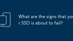 Was sind die Anzeichen, an denen Ihre SSD scheitern wird?
