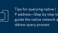 Conseils pour interroger l'adresse IP native - étape par étape pour guider le processus de requête de l'adresse du réseau natif