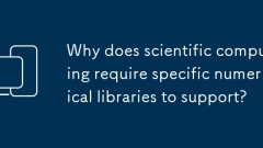 Pourquoi l'informatique scientifique nécessite-t-elle des bibliothèques numériques spécifiques pour prendre en charge?