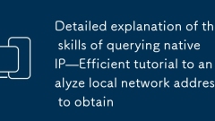 Explication détaillée des compétences de l'interrogation IP native - Tutoriel efficace pour analyser l'adresse du réseau local pour obtenir