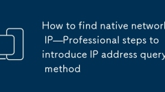 Comment trouver IP du réseau natif - étapes professionnelles pour introduire la méthode de requête d'adresse IP