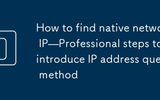 How to find native network IP—Professional steps to introduce IP address query method