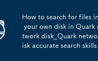 Cara Mencari Fail Dalam Cakera Anda Sendiri Dalam Rangkaian Quark Disk_QUARK Rangkaian Cakera Tepat Carian
