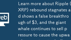 Ripple (XRP) ???? ??? ?? ??? ??????. 3 ??? ??? ??? ?? ??, ??? ??? ???? ??? ???? ?? ???? ?????.