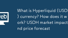 하이퍼 클리케이드 (USDH) 통화 란 무엇입니까? 어떻게 작동합니까? USDH 시장 영향 및 가격 예측