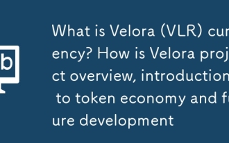Velora(VLR)通貨とは何ですか? Velora Projectの概要、トークンエコノミーの紹介、将来の開発はどうですか
