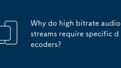 Mengapa aliran audio bitrate tinggi memerlukan penyahkod tertentu?