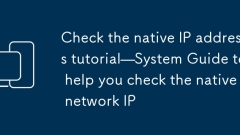 Semak panduan sistem tutorial alamat IP asli untuk membantu anda menyemak IP rangkaian asli