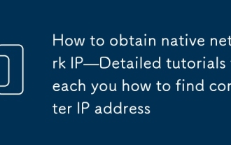 So erhalten Sie native Netzwerk -IP - Tutorials mit geprägten Tutorials lernen Sie, wie Sie Computer -IP -Adresse finden