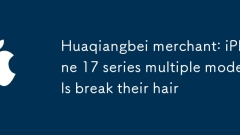 Huaqiangbei Merchant: Model Pelbagai Siri 17 Siri Memecahkan Rambut Mereka