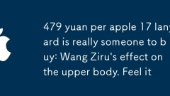 479 ?? ?? 17 ?? ??? ???? ? ????? : Wang Ziru? ??? ??? ??. ?????