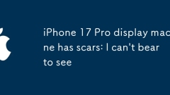 iPhone 17 Pro ????? ??? ??? ???? : ?? ? ? ????.