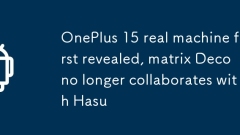 OnePlus 15 Real Machine enthüllte zuerst, Matrix -Deco arbeitet nicht mehr mit HIDU zusammen