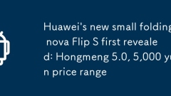 Huaweis neuer kleiner kleiner faltender Nova Flips Erster enthüllte: Hongmeng 5.0, 5.000 Yuan Preisspanne