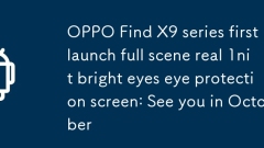 Oppo Find X9 Series Erste Start Full Szene Real 1Nit Bright Eyes Eye Protection Screen: Wir sehen uns im Oktober