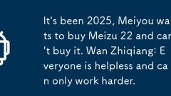 Es ist 2025, Meiyou will Meizu 22 kaufen und kann es nicht kaufen. Wan Zhiqiang: Jeder ist hilflos und kann nur h?rter arbeiten.