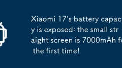 Die Batteriekapazit?t von Xiaomi 17 ist freigelegt: Der kleine geraden Bildschirm ist zum ersten Mal 7000mah!