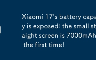 Kapasiti bateri Xiaomi 17 terdedah: Skrin lurus kecil adalah 7000mAh untuk kali pertama!