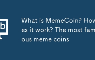Memecoin이란 무엇입니까? 어떻게 작동합니까? 가장 유명한 밈 동전