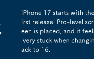 iPhone 17은 첫 번째 릴리스로 시작합니다. 프로 레벨 화면이 배치되며 16으로 변경할 때 매우 고착 된 느낌이 듭니다.