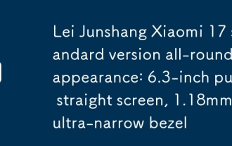 Lei Junshang Xiaomi 17 Version standard Apparence polyvalente: Écran droit pur de 6,3 pouces, lunette ultra-narrow de 1,18 mm