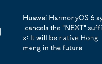 Huawei Harmonyos 6 시스템은 '다음'접미사를 취소합니다 : 그것은 미래에 Native Hongmeng이 될 것입니다.