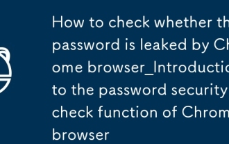 Comment vérifier si le mot de passe est divulgué par Chrome Browser_introduction à la fonction de vérification de la sécurité du mot de passe de Chrome Browser