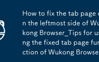 Cara Memperbaiki Halaman Tab Di sebelah kiri Wukong Browser_Tips untuk menggunakan Fungsi Halaman Tab Tetap Wukong Browser