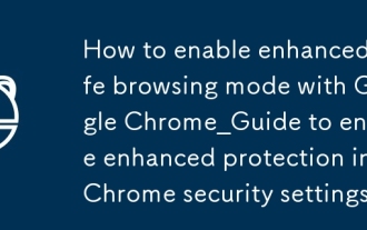 So aktivieren Sie einen verst?rkten sicheren Browsing -Modus mit Google Chrome_Guide, um einen verbesserten Schutz der Chrome -Sicherheitseinstellungen zu erm?glichen