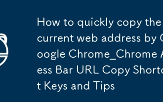 Comment copier rapidement l'adresse Web actuelle par Google Chrome_Chrome Adresse Bar Url Copie des touches et des conseils de raccourci