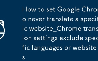 Comment définir Google Chrome pour ne jamais traduire un site Web spécifique_chrome de traduction excluant des langues ou des sites Web spécifiques