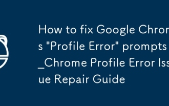 Google 크롬의 '프로필 오류'를 수정하는 방법 Prompts_chrome 프로필 오류 문제 복구 안내서