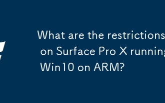 ARM에서 Win10을 실행하는 Surface Pro X의 제한 사항은 무엇입니까?