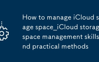 Cara Mengurus Keterampilan Pengurusan Ruang Penyimpanan Space_icloud dan kaedah praktikal