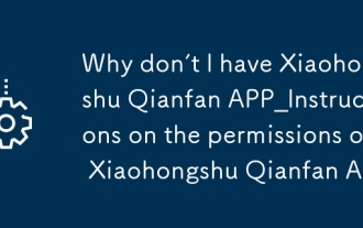Pourquoi je n'ai pas xiaohongshu qianfan app_instructions sur les autorisations de l'application xiaohongshu qianfan