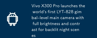 Vivo X300 Pro melancarkan kamera utama LYT-828 Gimbal pertama di dunia dengan kecerahan penuh dan kontras untuk adegan malam backlit