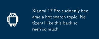 Xiaomi 17 Pro tiba -tiba menjadi topik carian panas! Netizen: saya sangat suka skrin belakang ini
