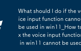 Que dois-je faire si la fonction de saisie vocale ne peut pas être utilisée dans Win11_Comment réparer la fonction de saisie vocale dans Win11 ne peut pas être utilisée