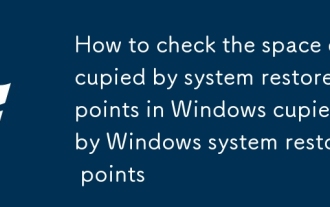Windows에서 시스템 복원 지점이 차지하는 공간을 확인하는 방법 Windows 시스템 복원 지점이 차지하는 공간을 확인하는 방법