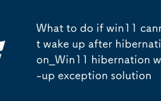win11休眠后無(wú)法喚醒怎么辦_win11休眠喚醒異常解決方案